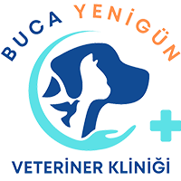 biVet